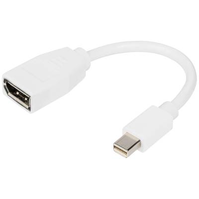 Digitus 2m Mini DisplayPort to female DP cable
