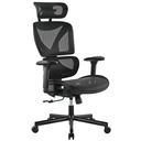 Brateck Ergonomic Office Chair with Headrest - Spine X